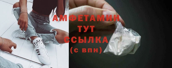 твердый Козельск