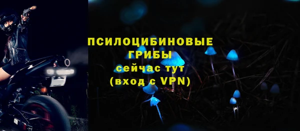 бошки Кодинск