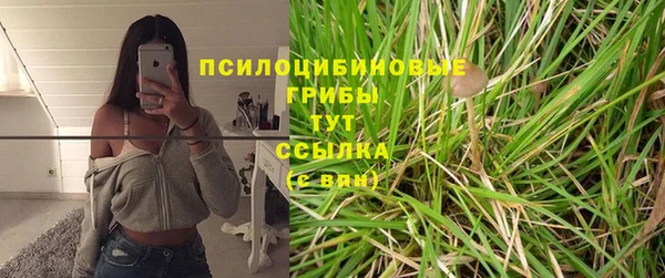 бошки Кодинск