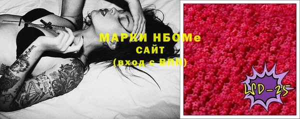 твердый Козельск