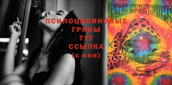 бошки Кодинск