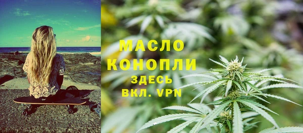 твердый Козельск