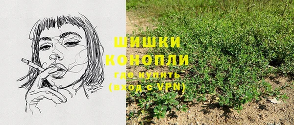 твердый Козельск